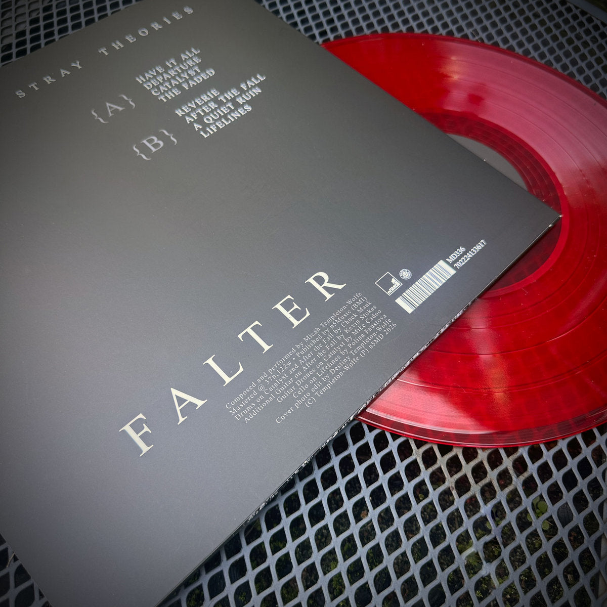 Stray Theories - Falter