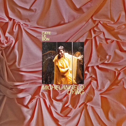 Cate Le Bon - Michaelangelo Dying (Black Vinyl)