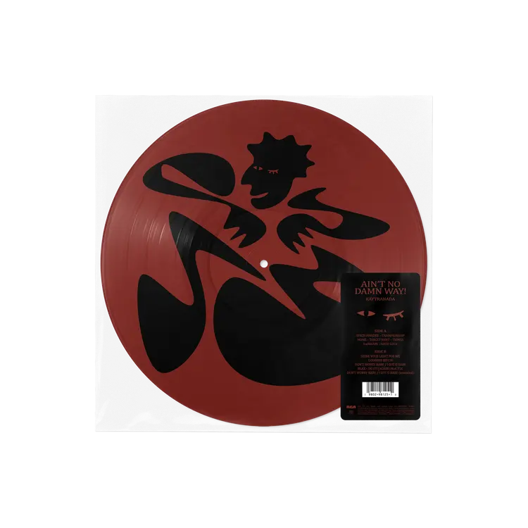 Kaytranada - Ain't No Damn Way (Picture Disc)
