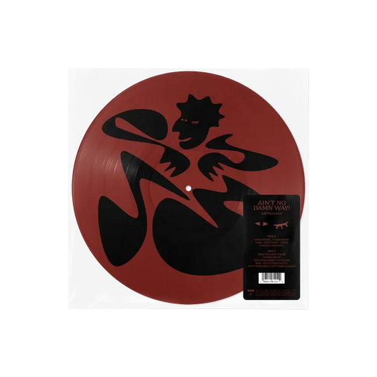 Kaytranada - Ain't No Damn Way (Picture Disc)